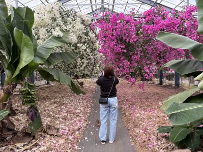 宮古島庭園